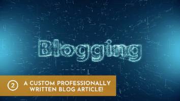 Professionally Written Blog Article